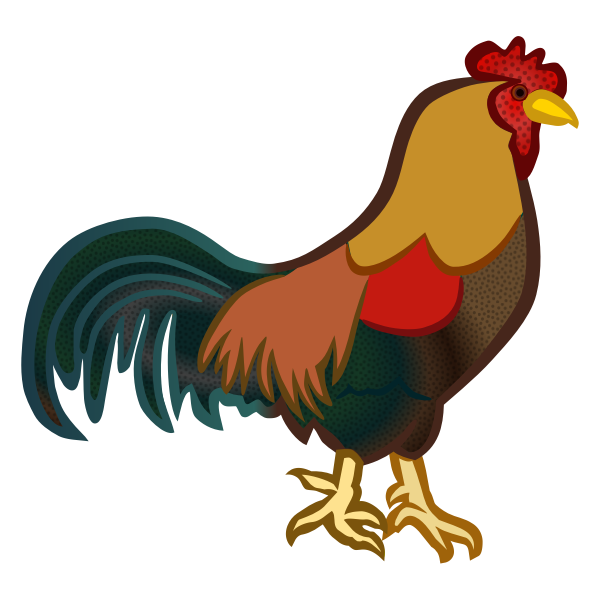 Hen